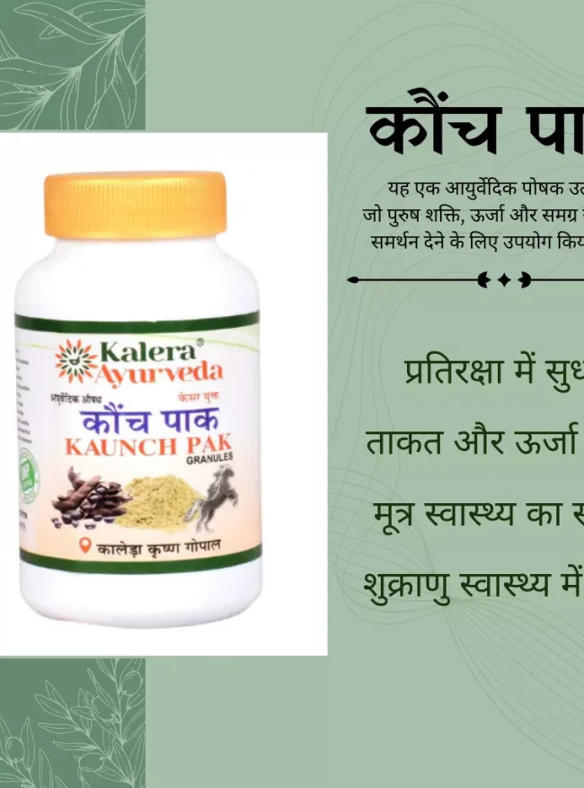 konch paak2 back konchpaak